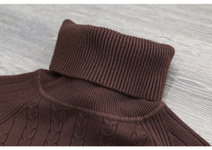 Áo len đan dài tay cổ lọ sọc bện thừng - NU8129
